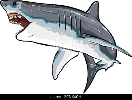 Shark Skizze Vektor Grafik Farbe Bild Illustration Stock Vektor