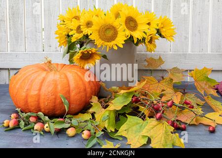 Eine Vase mit Sonnenblumen, ein großer Kürbis, Ahornblätter sind auf dem Tisch. Foto im Freien. Herbstgeschenke Konzept. Hochwertige Fotos Stockfoto