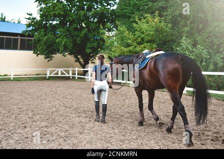 Junge Frau führt ihr Pferd zum Training und zur Vorbereitung Für die Hippodrome-Rennen Stockfoto