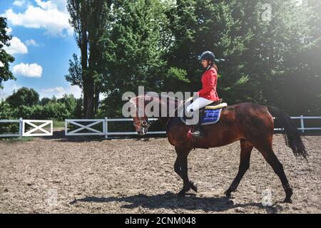 Junge hübsche Jockey Mädchen Vorbereitung Pferd für den Ausritt. Liebe Pferde. Mädchen reiten ein Pferd Stockfoto