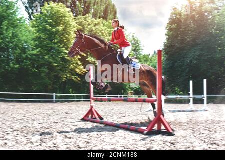 Junge weibliche Jockey auf Pferd springt über Hürde. Reiten Stockfoto