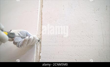 Ein professioneller Desinfektionsmittel in Overalls verarbeitet die Wände mit einem Pinsel aus Schimmel. Entfernung von schwarzem Pilz in der Wohnung und Haus. Aspergillus Stockfoto