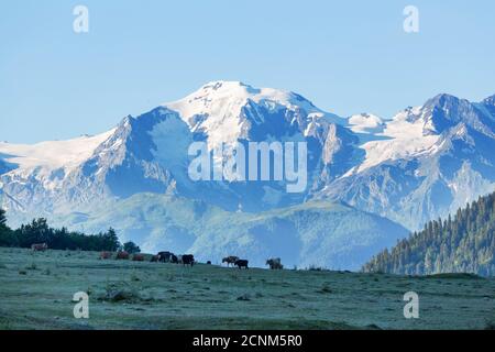 Berge in Svaneti Stockfoto