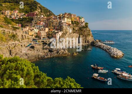 Atemberaubende Nahaufnahme Landschaft Blick auf die historischen bunten Häuser auf der Klippe in Manarola und den Yachthafen mit den Booten und Schiffen unten. Der Nadelbaum... Stockfoto