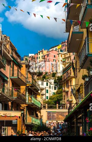 Schöne Porträtaufnahme der verkehrsreichen Straße Via Renato Birolli mit schönen alten bunten Häusern auf jeder Seite in Manarola, dem zweitkleinsten der... Stockfoto