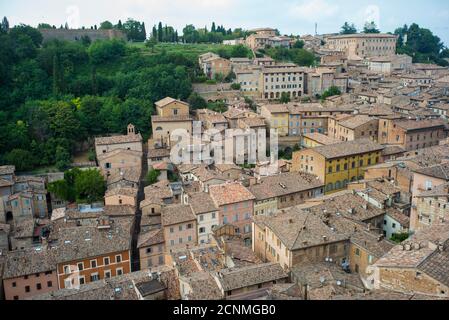 Blick vom Palazzo Ducale auf die Dächer von Urbinos, Urbino, Duomo und Palazzo Ducale, Marken, Italien, Sommer Stockfoto