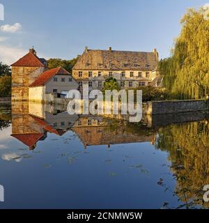 Wasserschloss Tatenhausen, Halle, Ostwestfalen, Nordrhein-Westfalen, Deutschland, Europa Stockfoto