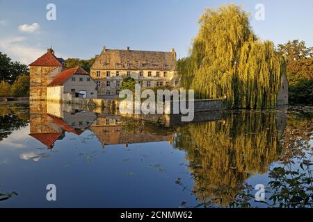 Wasserschloss Tatenhausen, Halle, Ostwestfalen, Nordrhein-Westfalen, Deutschland, Europa Stockfoto