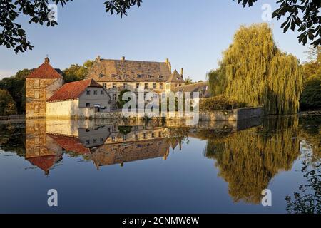 Wasserschloss Tatenhausen, Halle, Ostwestfalen, Nordrhein-Westfalen, Deutschland, Europa Stockfoto