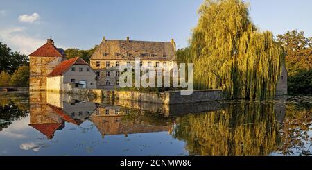 Wasserschloss Tatenhausen, Halle, Ostwestfalen, Nordrhein-Westfalen, Deutschland, Europa Stockfoto