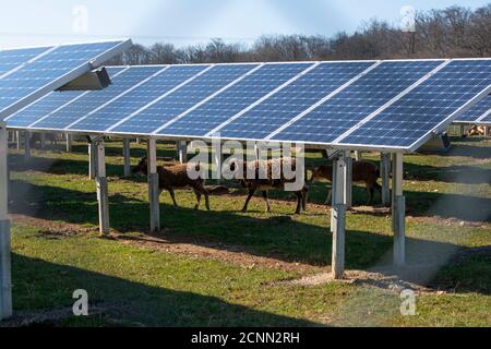 Solarfeld in Bollstadt, Bayern, Deutschland Stockfoto