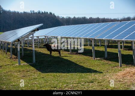 Solarfeld in Bollstadt, Bayern, Deutschland Stockfoto