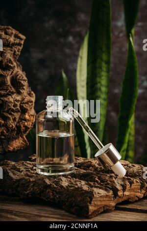 Kosmetisches Serum in einer Glasflasche mit einer Pipette auf dunklem Hintergrund mit natürlichen Materialien - Eschenrinde und Blätter. Stockfoto