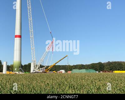 Viersen, Deutschland - 9. August. 2020: Blick über das landwirtschaftliche Maisfeld auf der Baustelle für Windkraftanlage mit Turm und Kran (Schwerpunkt Turm) Stockfoto