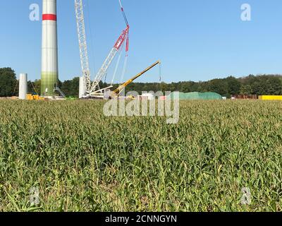 Viersen, Deutschland - 9. August. 2020: Blick über das landwirtschaftliche Maisfeld auf der Baustelle für Windkraftanlage mit Turm und Kran (Schwerpunkt Turm) Stockfoto