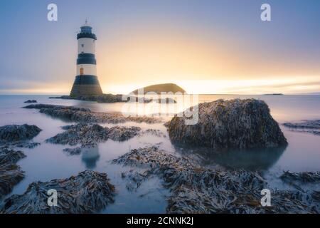 Penmon Leuchtturm auf Küstenfelsen, Anglesey, Wales, Großbritannien Stockfoto