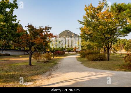 Die Gärten des Gyeongbokgung Palastes, mit dem Berg Bugaksan im Hintergrund, Seoul, Südkorea Stockfoto