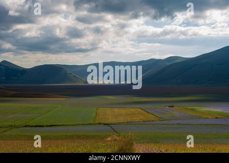 Piana Grande, Castelluccio di Norcia, Umbrien, Italien Stockfoto