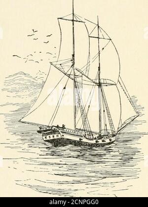 . Als wir zerstörten die Gaspee : eine Geschichte von Narragansett Bay in 1772 . ve beenensufficient, damit er genau verstehen, wer wir waren. Wenn er vorschlug, uns zu heben, so war es nur für den Sakeof, der seine Autorität zeigte, wenn er tatsächlich welche hatte, Und zwar als ein Stück mutwilliger Unfug, denn es ist eine ernste Angelegenheit, ein Paket zu verzögern, das Passagiere und per Post versandte Briefe befördert. All dies habe ich settdown, vielleicht unnötig, für während der Coun-versuchen im Allgemeinen an der timewa es bekannt voll wellthat der Leutnant hadno valide Grund für über-schleppen uns; aber dennoch bin ich eifrig zu m Stockfoto