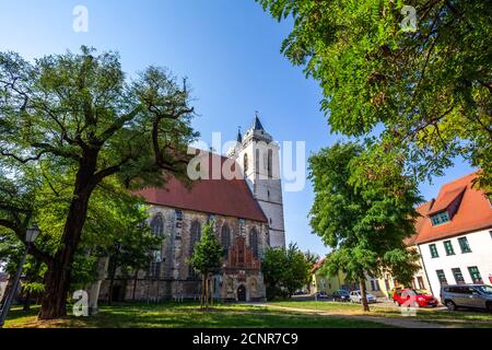 St. Nikolai Kirche in Oschersleben, Deutschland Stockfoto