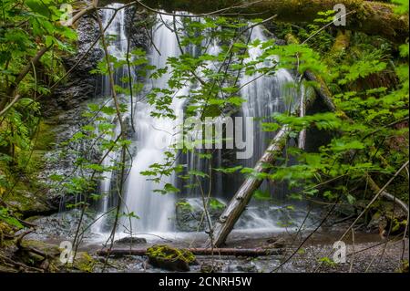 Blick auf die Cascade Falls im Moran State Park auf Orcas Island auf den San Juan Inseln im Bundesstaat Washington, USA. Stockfoto