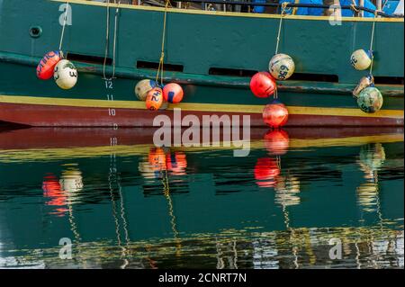 Die Kotflügel von Fischerbooten spiegeln sich im Wasser am Fishermens Terminal, dem Heimathafen zur Nordpazifischen Fischereiflotte, in Seattle, Washingt Stockfoto