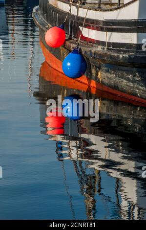 Die Kotflügel von Fischerbooten spiegeln sich im Wasser am Fishermens Terminal, dem Heimathafen zur Nordpazifischen Fischereiflotte, in Seattle, Washingt Stockfoto