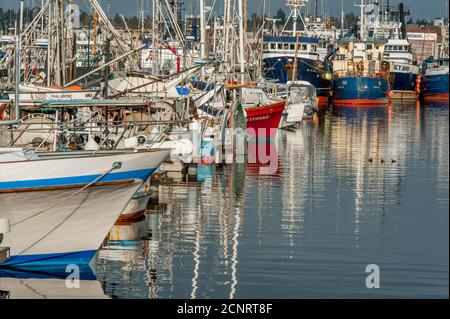 Fischerboote am Fishermens Terminal, dem Heimathafen zur Nordpazifischen Fischereiflotte, in Seattle, Washington State, USA. Stockfoto