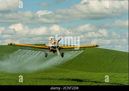 Ein Ernteduster sprüht Felder in der Nähe von Pullman im Whitman County in der Palouse, Washington State, USA. Stockfoto