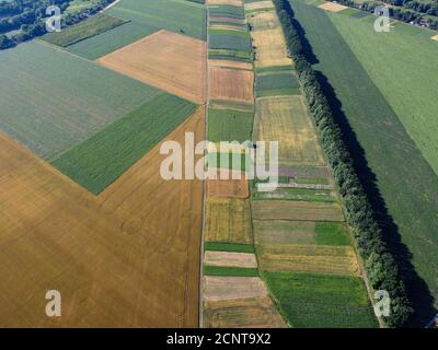 Grundstücke sind mit verschiedenen Kulturen, Waldgürtel und Ackerland Draufsicht gepflanzt. Stockfoto