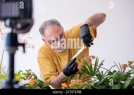 Alter männlicher Gärtner mit Pflanzen zu Hause Stockfoto