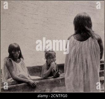 . Unsere Suche nach einer Wildnis; ein Bericht von zwei ornithologischen Expeditionen nach Venezuela und nach Britisch-Guayana . s dramatische Situationen und Filo machte sie aus. Sogar Maestro wurde bewegt, um eine niedrige Dios in zu äußern! Bei der Beschreibung des Eintritts des Geistes, der Engel des Todes und schließlich der Teufel, bei dem die arme Leiche, die vor Angst durch alles geschüttelt hatte, starrte und floh in Schrecken. Filos Geschichte verlor nichts in seinem Erzählen und die Aberstiouscrew ging sehr nüchtern, um sich in dieser Nacht auszuruhen. W – und ich lag, wie wir es so oft taten, und starrte wundersam hinaus in die Nacht – das wunderbare Stockfoto