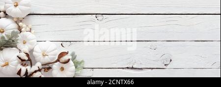 Herbst Ecke Grenze Banner aus weißen Kürbissen und silbernen Blättern über einem rustikalen weißen Holz Hintergrund. Draufsicht mit Kopierbereich. Stockfoto