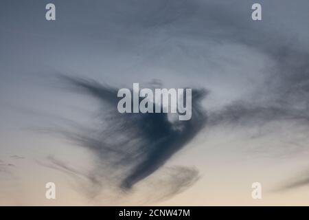 Dunkle Wolke in Form einer Taube am Abend Himmel Stockfoto