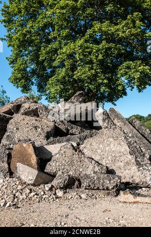 Ein Haufen Baumüll auf dem Boden Stockfoto