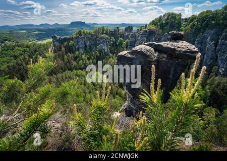 Panoramablick auf den berühmten Nationalpark Bastei Sächsische Schweiz, Deutschland. Kiefernbaum auf Steinkante. Ferdinandstein Formation Berge im Frühling Stockfoto