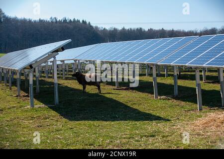 Solarfeld in Bollstadt, Bayern, Deutschland Stockfoto