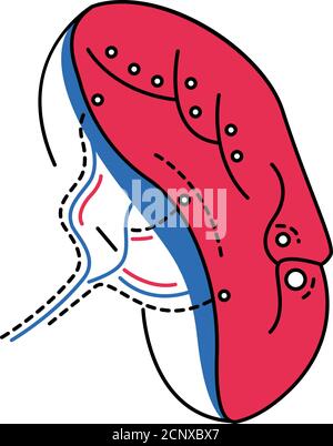 Bio künstliche Niere Farbe Linie Symbol. Speziell entwickelte Niere. Bieten biologische Funktionen einer gesunden Niere. Piktogramm für Webseite, mobile App, Promo Stock Vektor