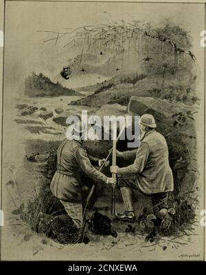 . Wildvögel und Schießskizzen: Illustriert die Gewohnheiten, Modi der Erfassung, Stufen des Gefieders und die Hybirds & Sorten, die unter ihnen auftreten. Pt wo die Vögel vom Boden zu einer Laterseason bewegen, Oder wo der Boden so rauh und wild ist, dass das Fahren nicht erfolgreich durchgeführt werden kann.der Sport kann nicht als gut angesehen werden, es sei denn, dass wir das Vergnügen, die Hunde bei der Arbeit zu beobachten, in den Blick nehmen, was immer angenehm ist, Und deshalb sollten die Vögel bis zu einer Saison, wenn sie sowohl mehr fit zu schießen und leisten unendlich besseren Sport links. Und nach ein paar Saisons, beim Fahren Stockfoto