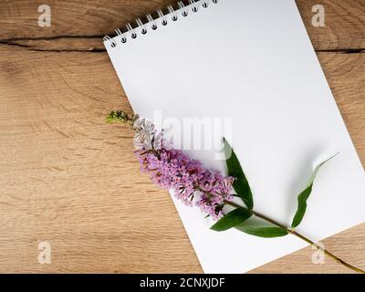 Eine Feldblume liegt auf einem Holztisch neben einem Notizbuch ein leeres Mockup. Unbeschriftete Notizbuch mit weißer Blume und Blumenkette auf Jahrgang Stockfoto