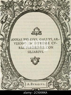 . Icones, id est, Verae imagines virorum doctrina simul et pietate illustrrium, : quorum praecipuè ministerio partim bonarum literarum studia sunt restituta, partim vera religio in variis orbis Christiani regionibus, nostra patrúmque memoria fuit instaurata : additis embleorundem vitae & operae descriptionibus, quietae laemturata nonvoctionibus. . , 9 MIO. Stockfoto