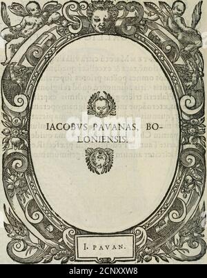 . Icones, id est, Verae imagines virorum doctrina simul et pietate illustrrium, : quorum praecipuè ministerio partim bonarum literarum studia sunt restituta, partim vera religio in variis orbis Christiani regionibus, nostra patrúmque memoria fuit instaurata : additis embleorundem vitae & operae descriptionibus, quietae laemturata nonvoctionibus. . Stockfoto