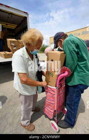 El Cenizo, TX USA 17. September 2020: Lokale Freiwillige verteilen Lebensmittelkisten an Bewohner der colonia von El Cenizo etwa 10 Meilen südlich von Laredo entlang der Texas-Mexiko-Grenze. Etwa 450 Familien werden zweimal in der Woche mit Heftklammern und frischem Obst in einer von der lateinamerikanischen lutherischen Mission (LALM) gesponserten Bemühung serviert. Aufgrund der Coronavirus-Pandemie ist die Verteilung nun ein sozial distanziertes Drive-Through-Ereignis, bei dem Freiwillige und Kunden alle Gesichtsbezüge tragen. Kredit: Bob Daemmrich/Alamy Live Nachrichten Stockfoto