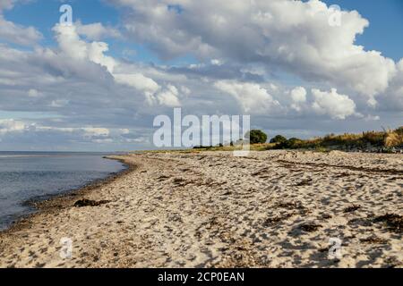 Strand in Maasholm, Ostsee, Deutschland Stockfoto