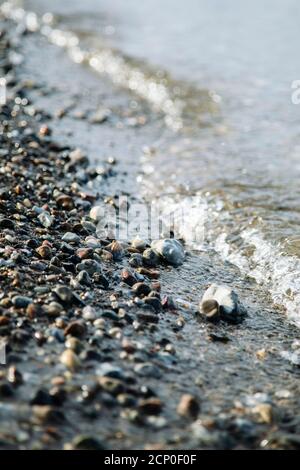 Strand in Maasholm, Ostsee, Deutschland Stockfoto