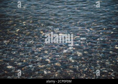 Strand in Maasholm, Ostsee, Deutschland Stockfoto