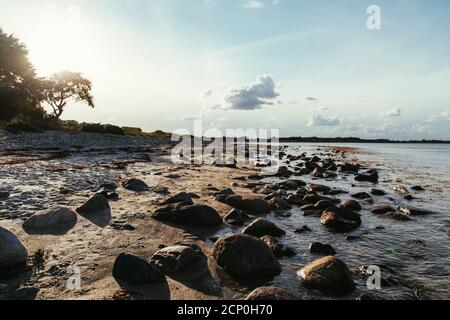 Strand in Maasholm, Ostsee, Deutschland Stockfoto