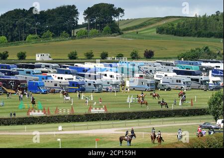 Pferdekisten Transport Reitpferde Stockfoto