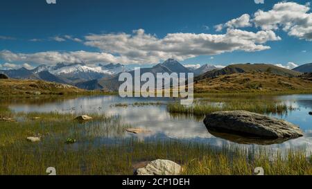 Landschaft mit flores im Vordergrund und Berge Croix de Fer im Hintergrund in den französischen Alpen Stockfoto