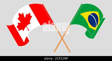 Gekreuzte und winkende Flaggen von Brasilien und Kanada. Vektorgrafik Stock Vektor
